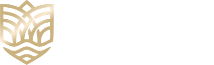 Florion DMC