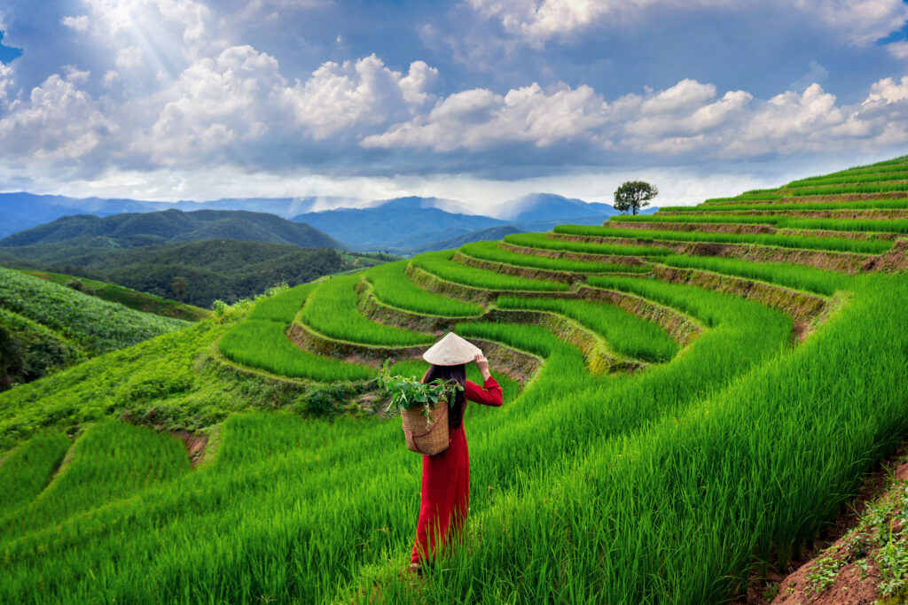 Imperial Tonkin & Sapa Valley Trail