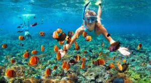 FULL DAY SNORKLING AT SOUTH ISLAND