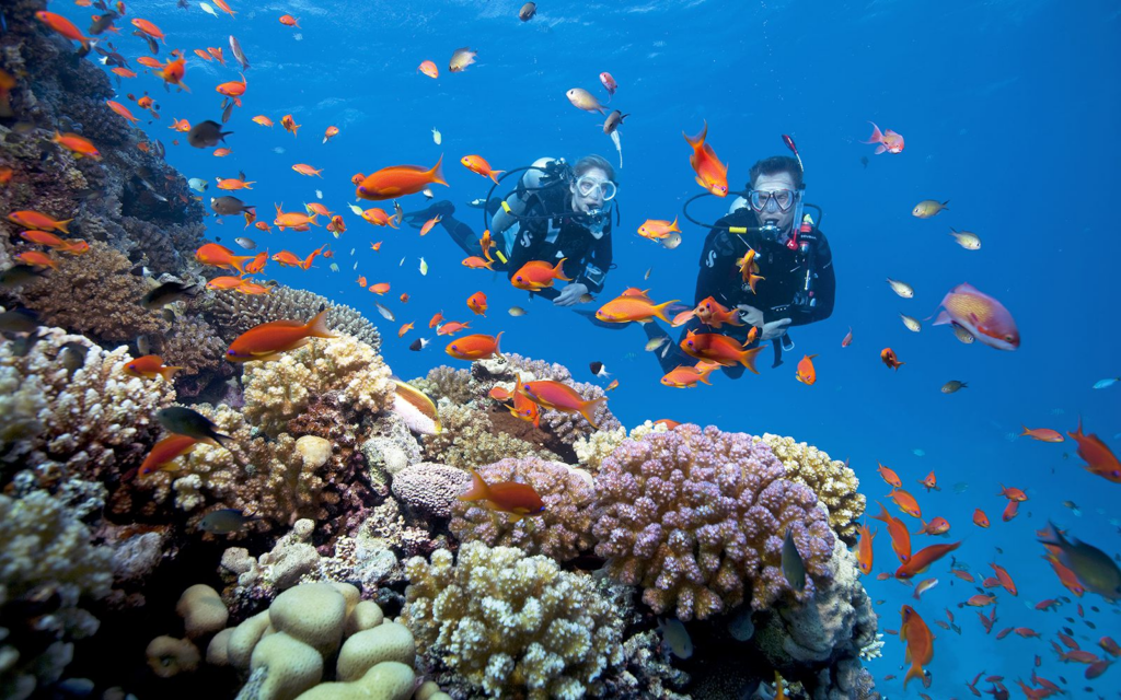 Scuba Diving